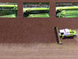 Harvest Jan 2024