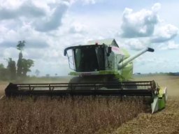 Harvest Jan 2024