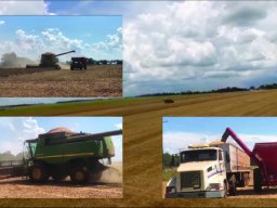 Harvest Jan 2024