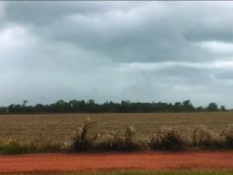 Harvest Jan 2024
